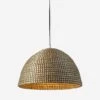 Raiatea Pendant Light -Luminous Living 229313 001 PRM 1