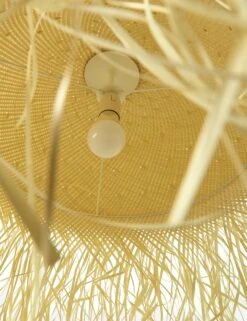 Clarissa Pendant Light -Luminous Living 229316 001 DET 2