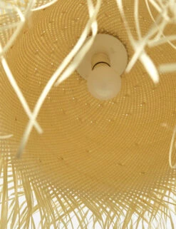 Clarissa Pendant Light -Luminous Living 229317 001 DET 2