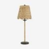 Nanina Table Lamp 1 Nanina Table Lamp -Luminous Living 6000 0902 1 Product