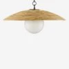 Phelan Pendant Light 1 Phelan Pendant Light -Luminous Living 9000 0798 1 PRODUCT