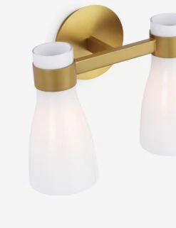 Nassif Sconce -Luminous Living AERIN Moritz Wall BBSMG DET1 AEV1002BBSMG