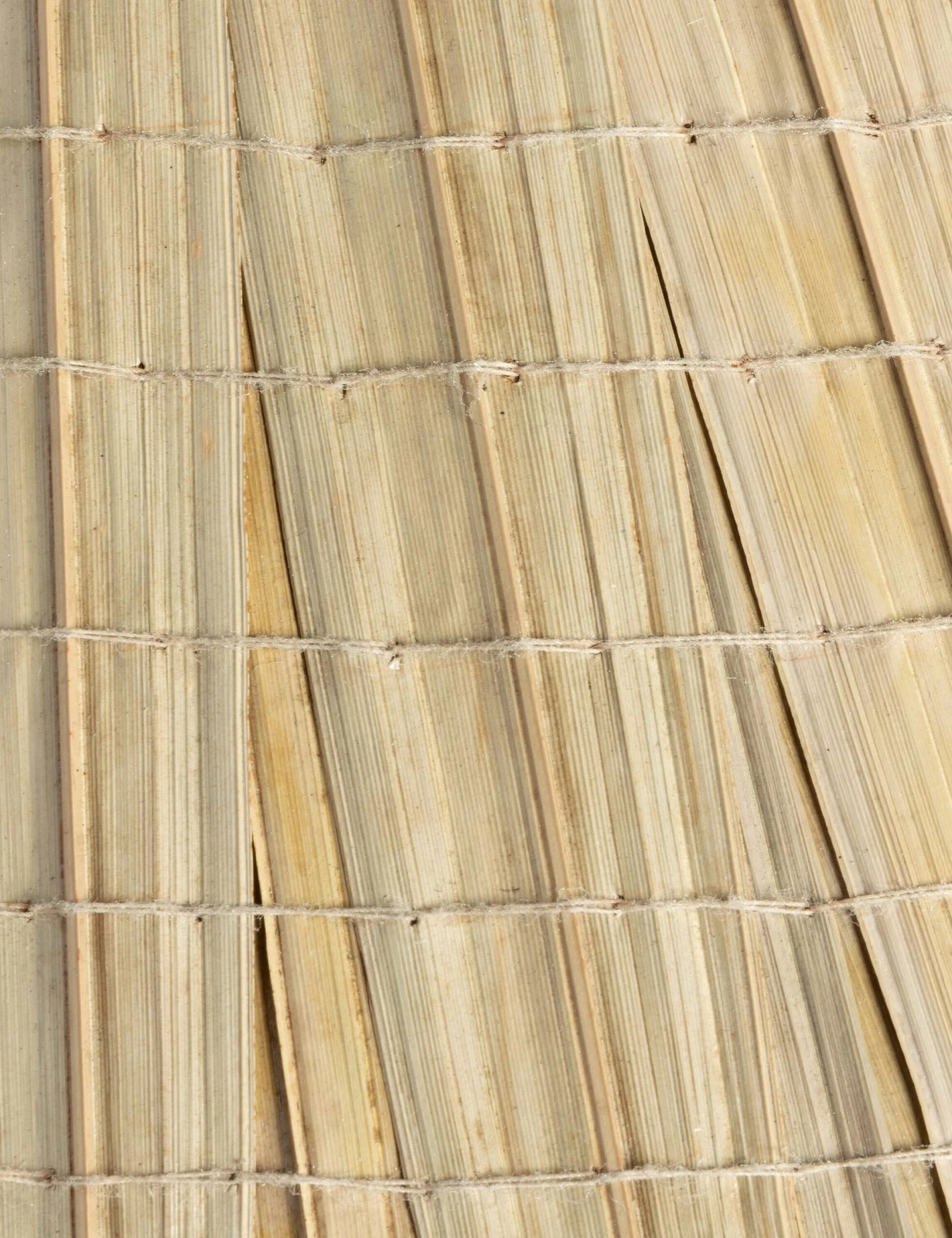 Ertha Table Lamp 8 Ertha Table Lamp - Image 6