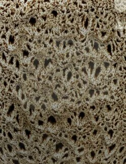 Cantal Table Lamp 7 Cantal Table Lamp -Luminous Living Lulu and Georgia 9VEGABONDBR 3 Product