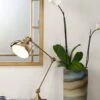 Fallan Desk Table Lamp