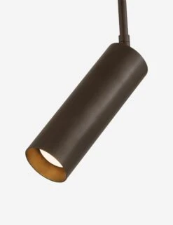 Keldan Adjustable Sconce 12 Keldan Adjustable Sconce -Luminous Living Lulu and Georgia LARK B3220 BRZ 002 Product