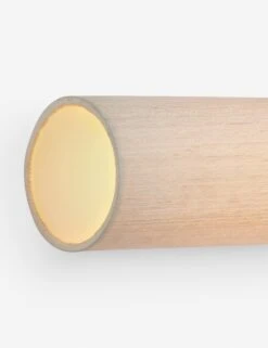 Rickaby Sconce -Luminous Living Lulu and Georgia REYN H1036102 AGB Horizontal 004 Product